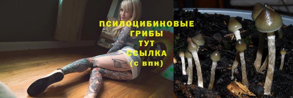 ECSTASY Армянск