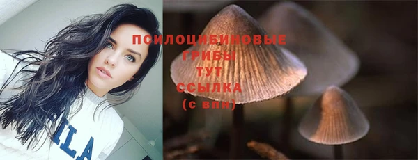 MESCALINE Арсеньев