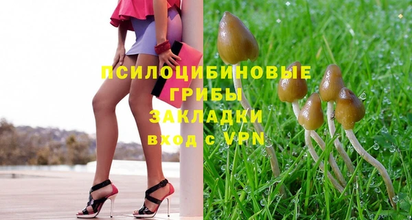 ECSTASY Армянск